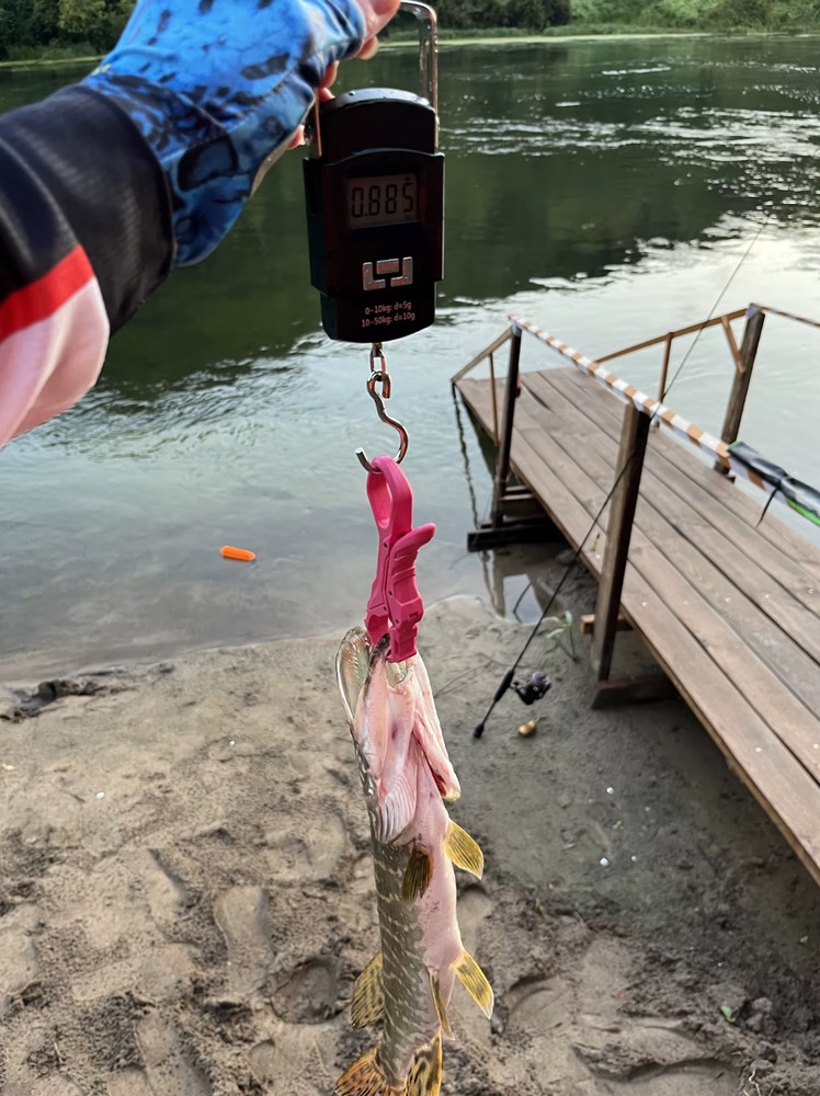 Lureholic Mini Plastic Fish Grip, Wide Gap, Does not Harm Fish, Lightweight