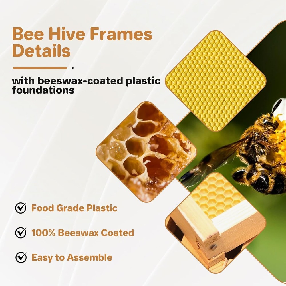 Beehive 10-Frame Langstroth Bee Hive Coated with Beeswax, Beehive Starter Kit