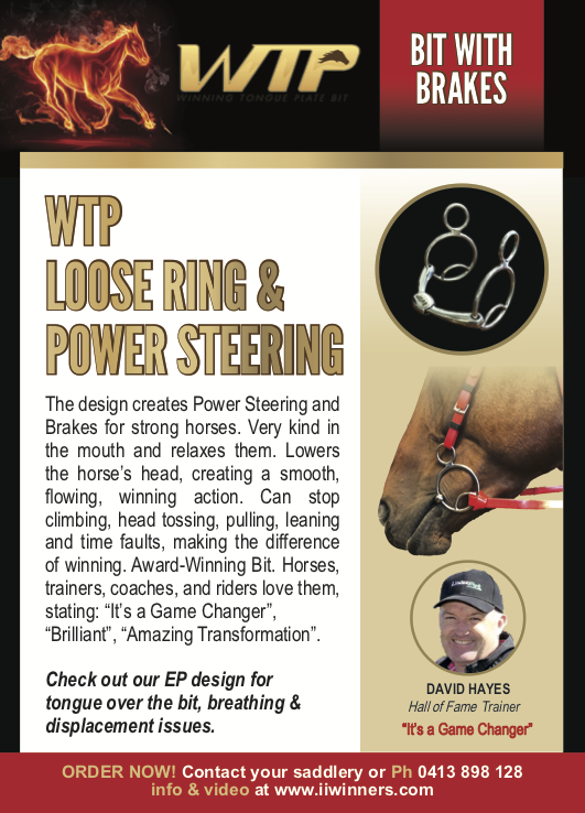 Winning Tongue Plate Bit - Dee Snaffle Eggbutt Lightweight