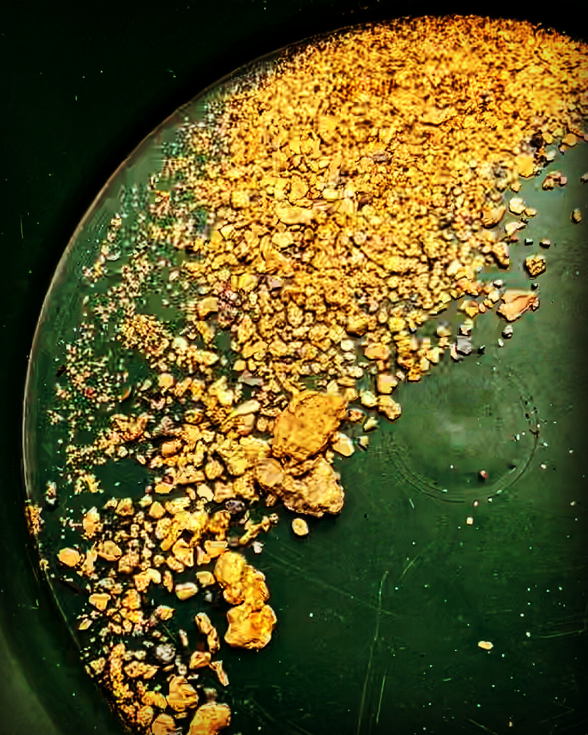 GOLD Paydirt Guaranteed Unsearched Rich with black sand + Added Gold concentrate