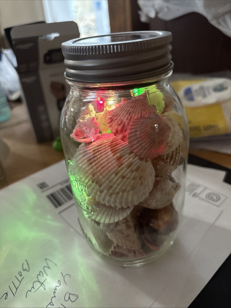 Shells In Lighted Jar