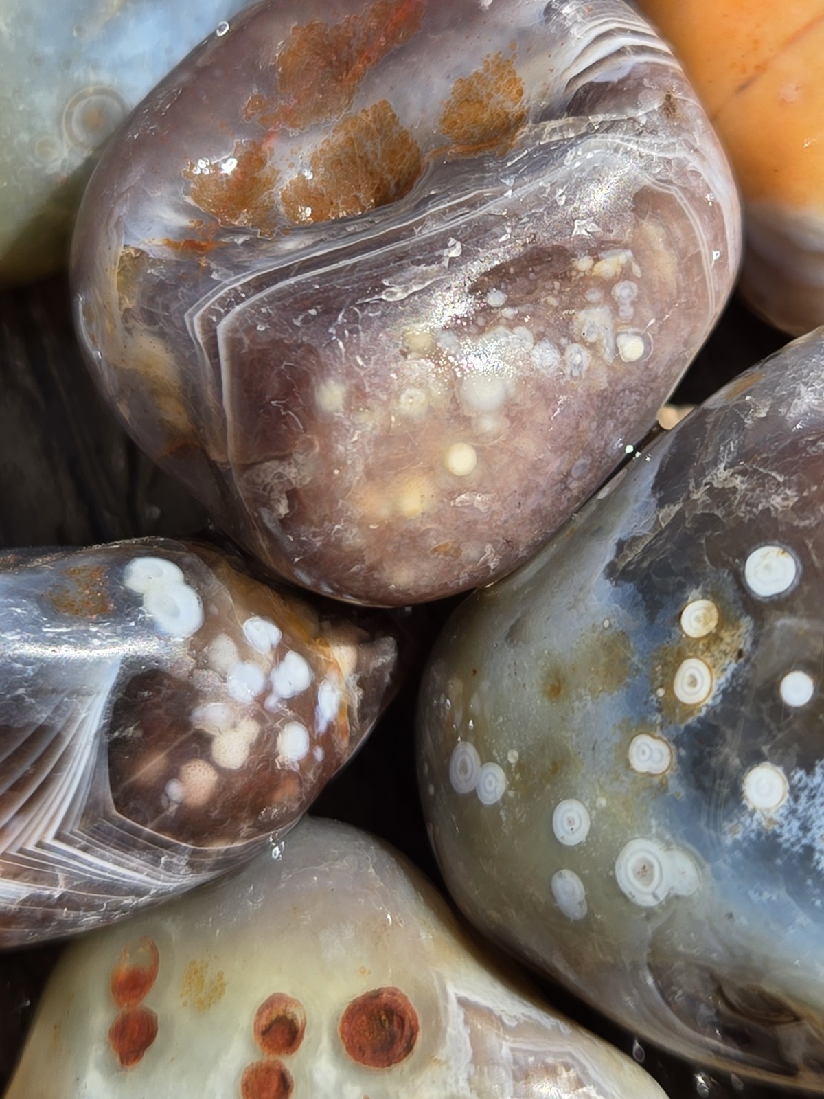 Botswana Agate Selects - DOTS AND SPOTS - Rough, Natural, Not Polished A+ Grade