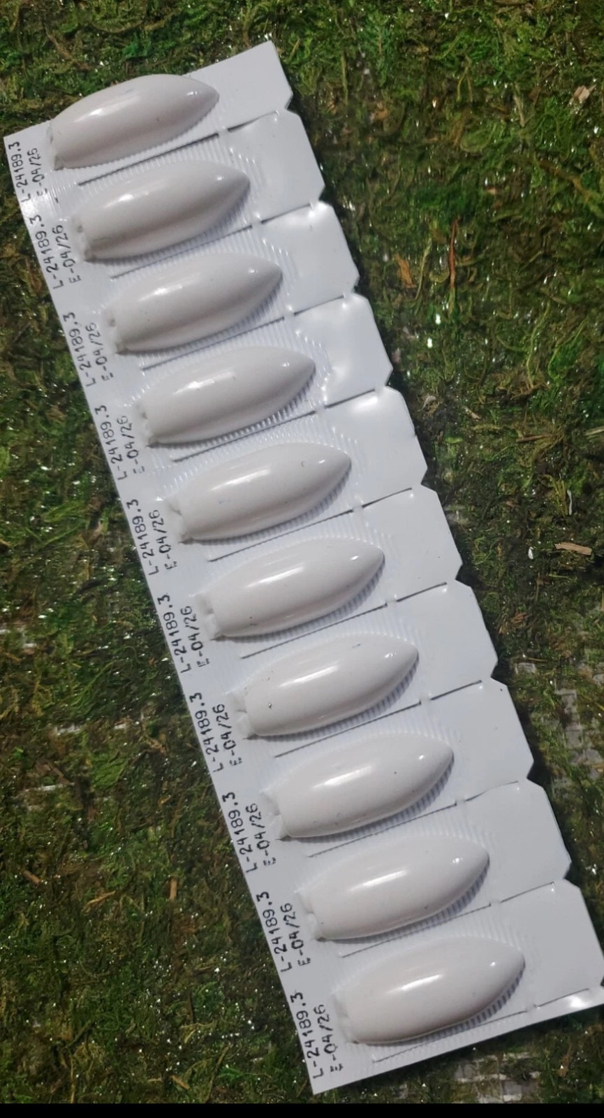 Ovulos.-Acromona. (PACK 10 UNITS). WITH FREE SHIPPING x10 NEW