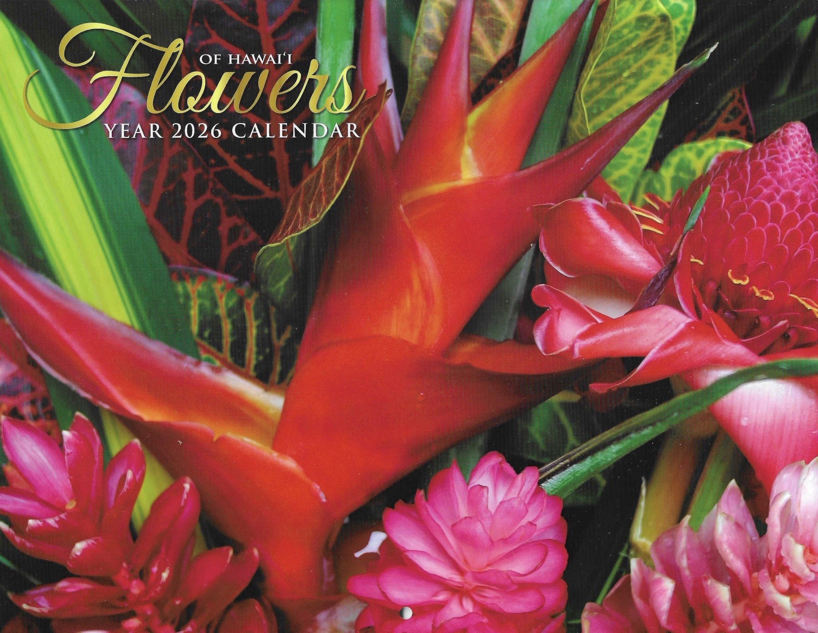 2026 Hawaiian Wall Calendar Flowers Tropical Hibiscus Plumeria w/ Mail Envelope