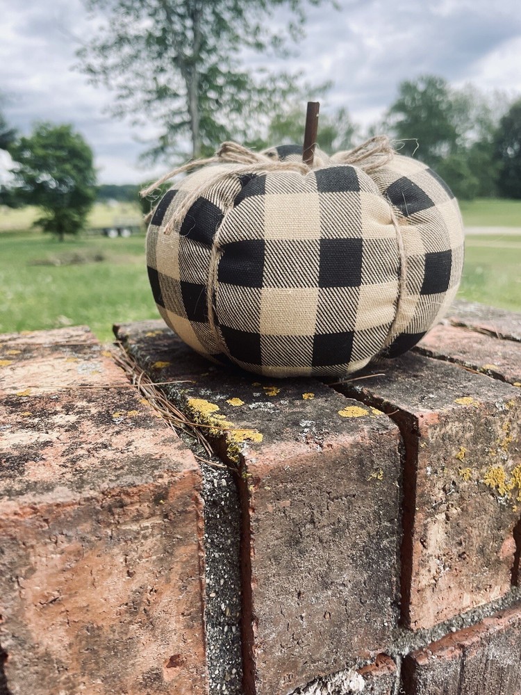 Medium Black & Beige Buffalo Check Pumpkin New