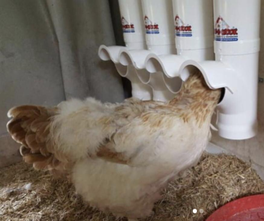 Chicken Feeder