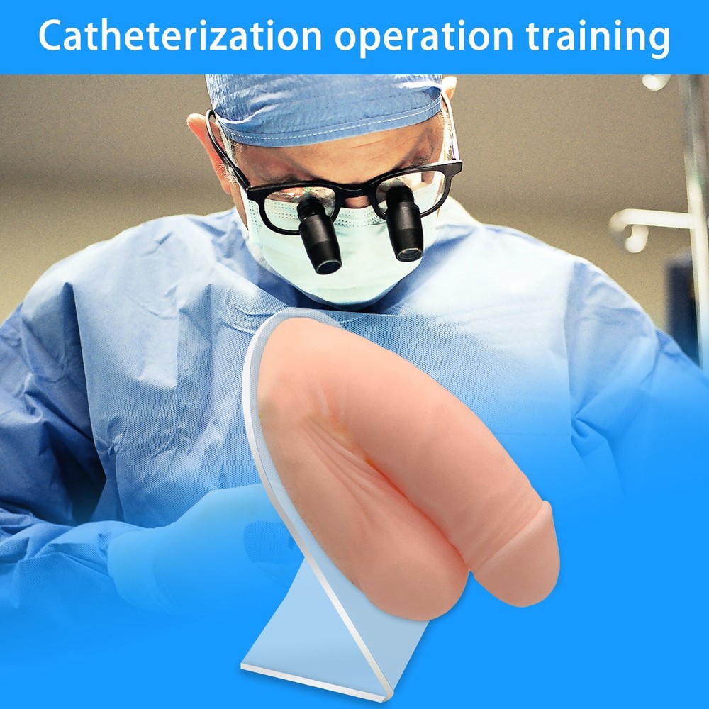Urinary Catheterization Puncture Model Medical Operation Training Reusable Wide