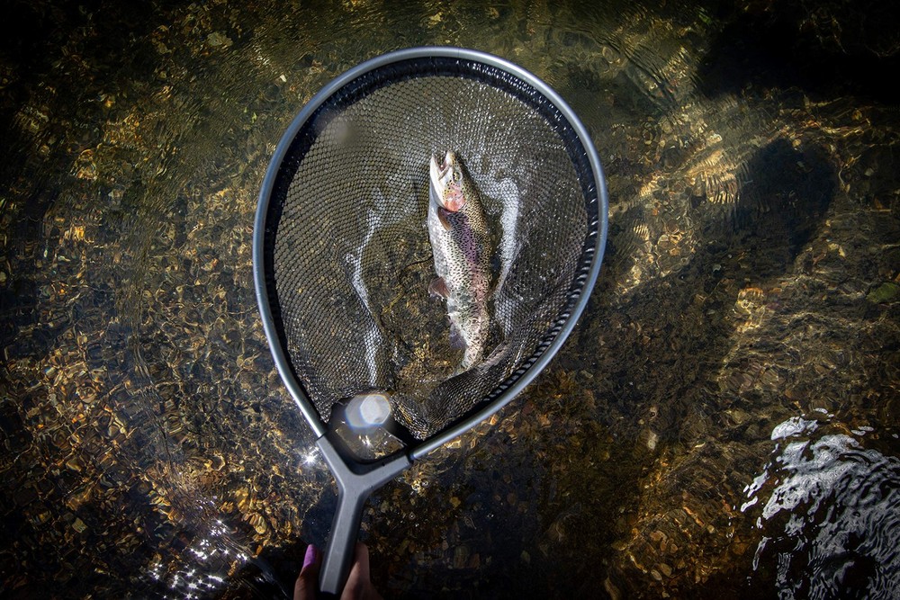 Floating Trout Net