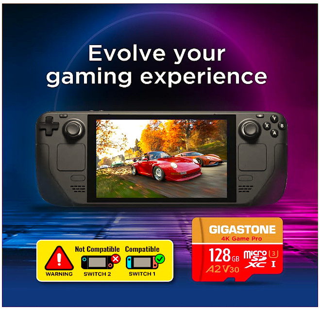 Gaming Storage Security Data Memory GIGASTONE 128GB Micro SD XC A2 V30 (2) Pack.