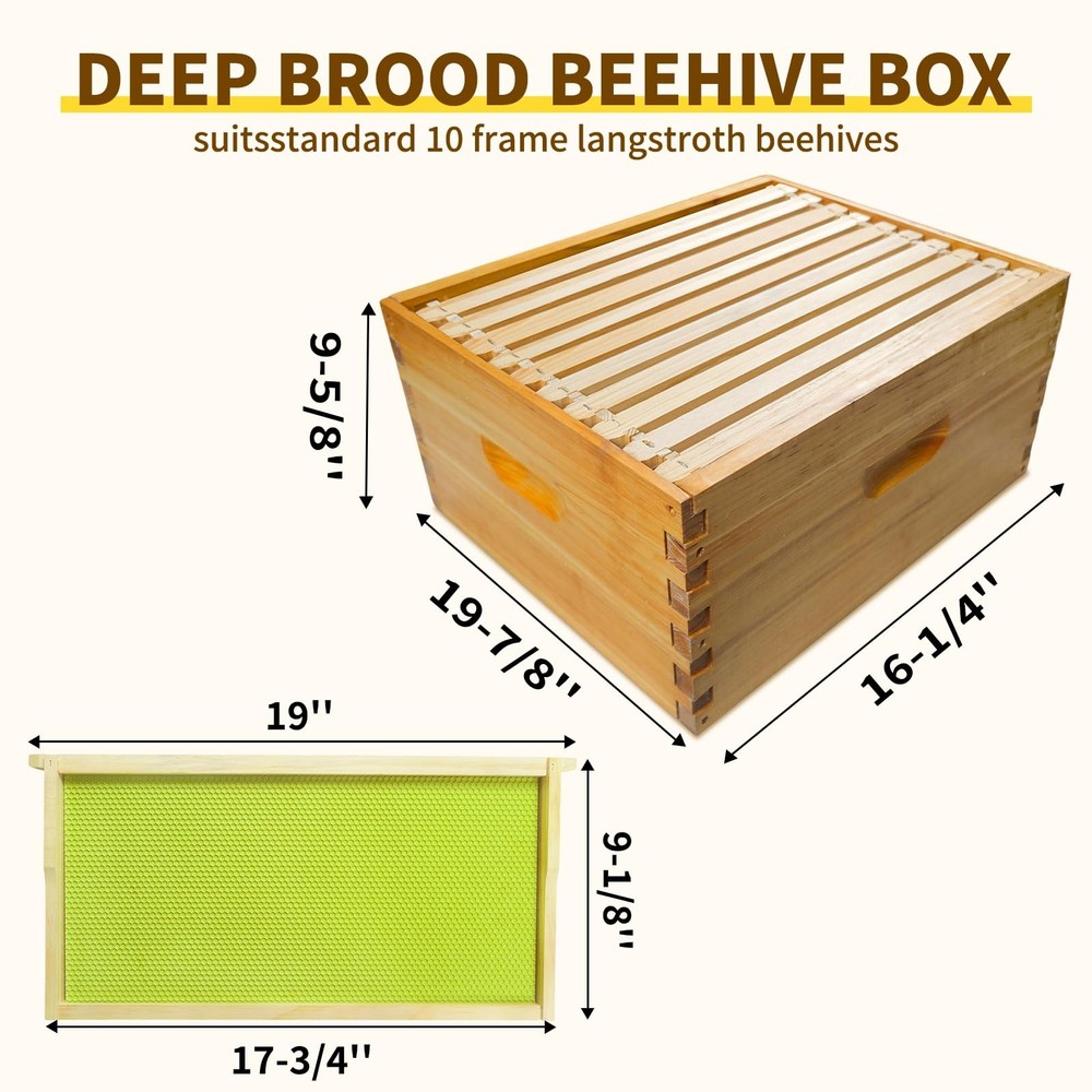 BeeQuestify 10 Frame Bee Hive Box Langstroth Deep Brood Dipped 10pcs