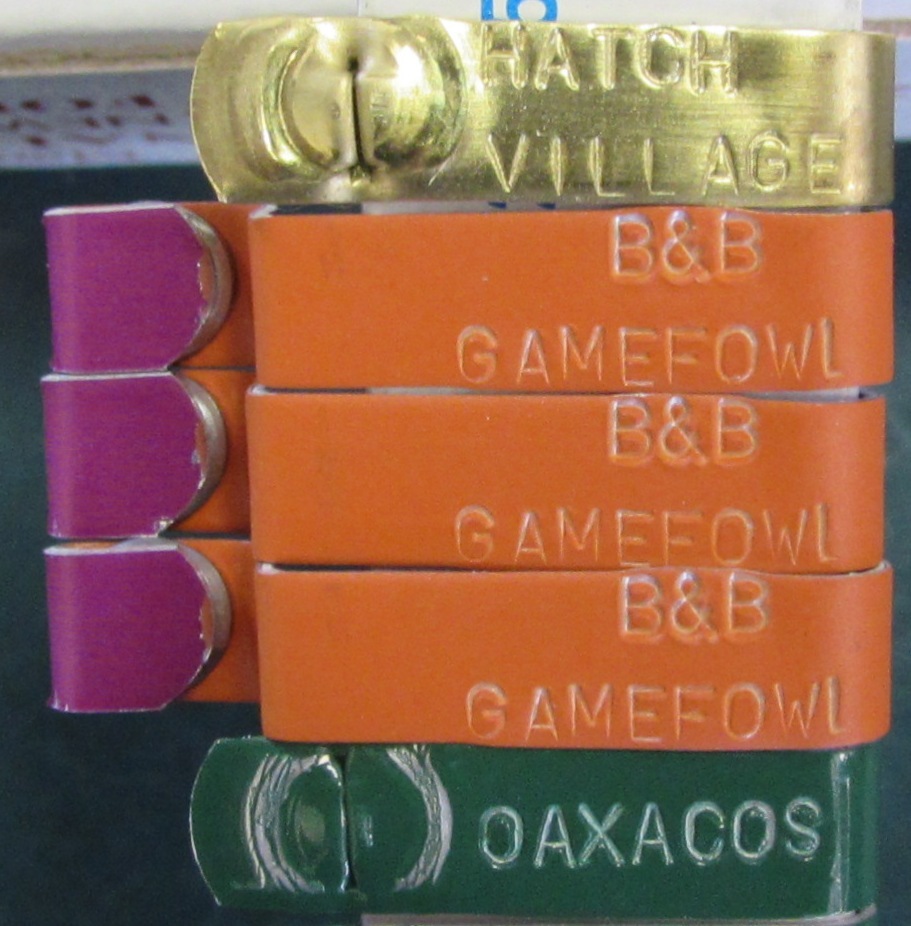 Zip Wing Bands Customized Custom Stamped Personalized Wing ID Tags for Chickens