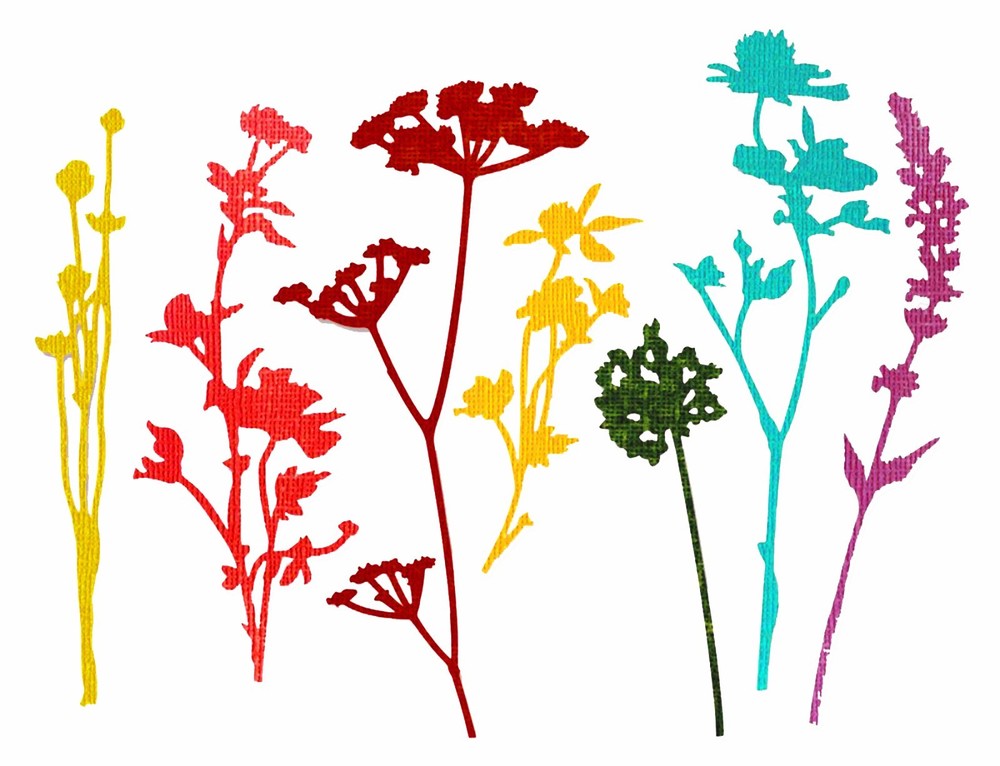 Sizzix Thinlits Wildflowers #661190 7pk set Retail $22.99 designer Tim Holtz