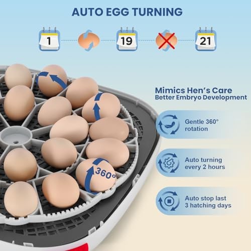 24 Egg Incubators for Hatching Eggs - Automatic Temperature Control and Blue