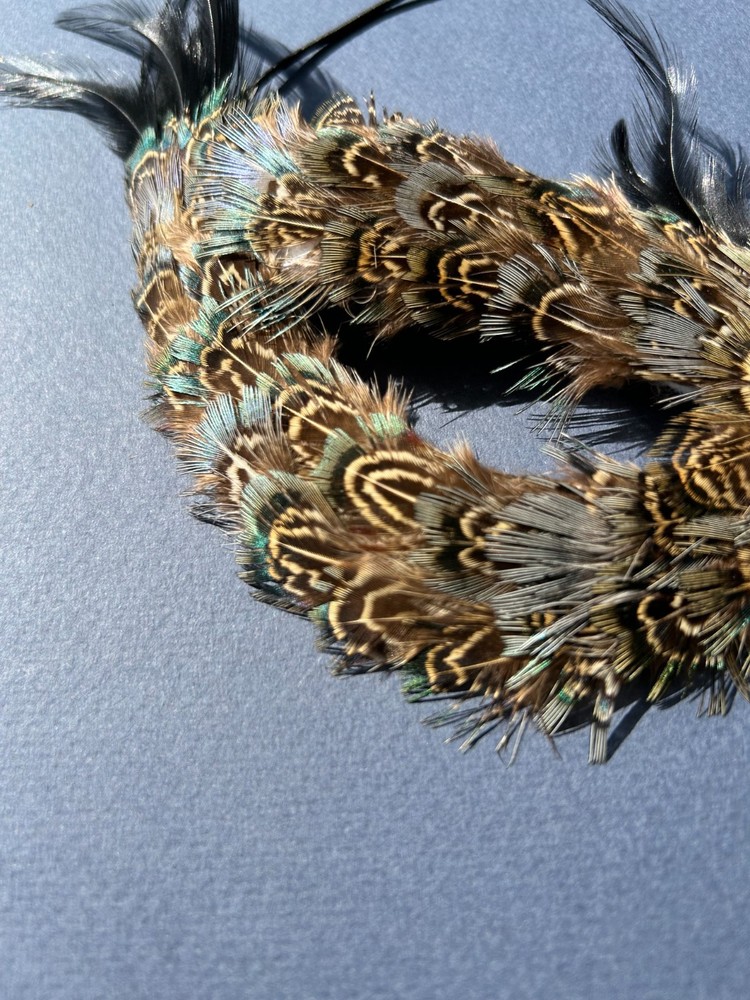 Feathered Masquerade Ball Half-Face Mask