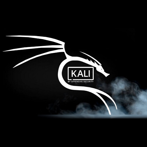 Kali Linux 2024.1 DVD (AMD64)