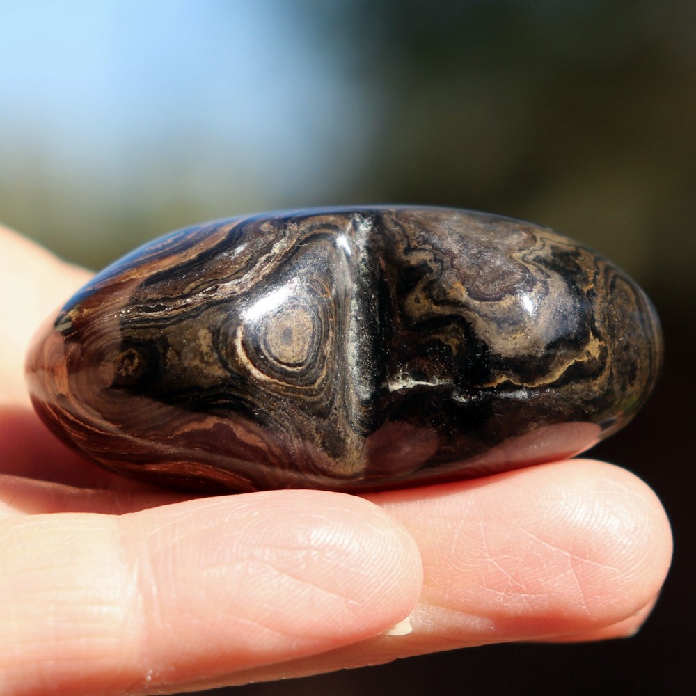 Polished Stromatolite Heart (MSC33)
