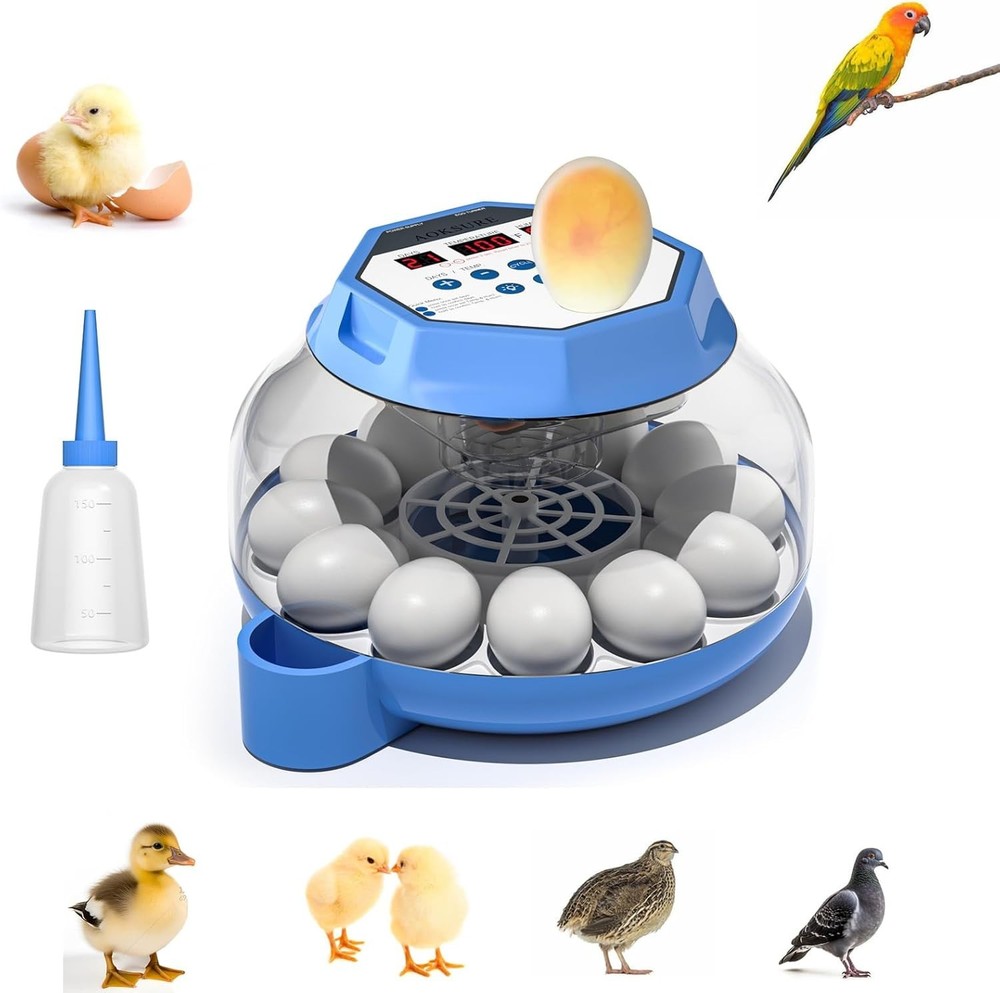 12-24 Egg Capacity Automatic Egg Turner, Temperature & Humidity Control