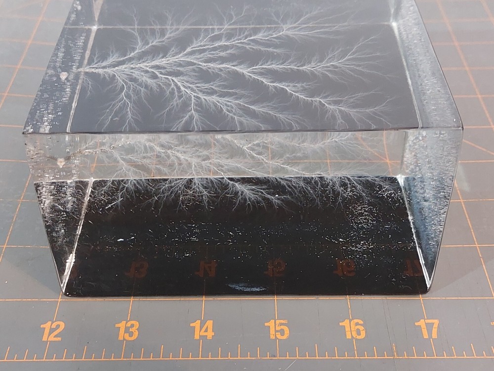 Captured Lightning Lichtenberg Figure Electron Tree Paperweight
