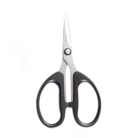 Special pruning fruit picking for pointed grapes horticultural bonsai pruning