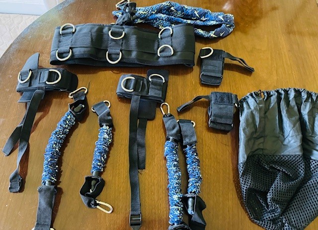 whole body training device