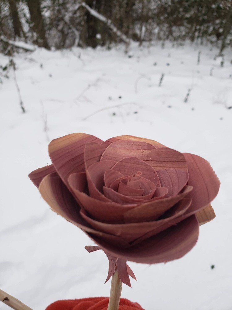 Cedar Flower Art