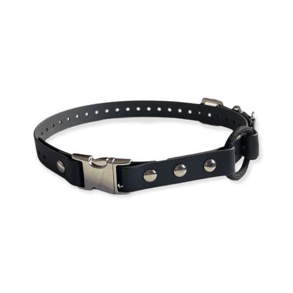 E-Collar 3/4" Quick Snap Bungee Replacement Strap - 10 Colors
