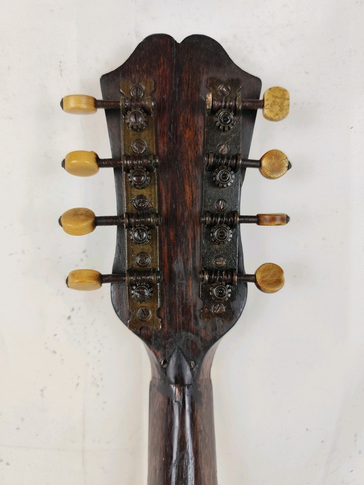 Mandolin 4/4 Viscardo Maccolini 1924 Milan 曼陀林 만돌린マンドリン