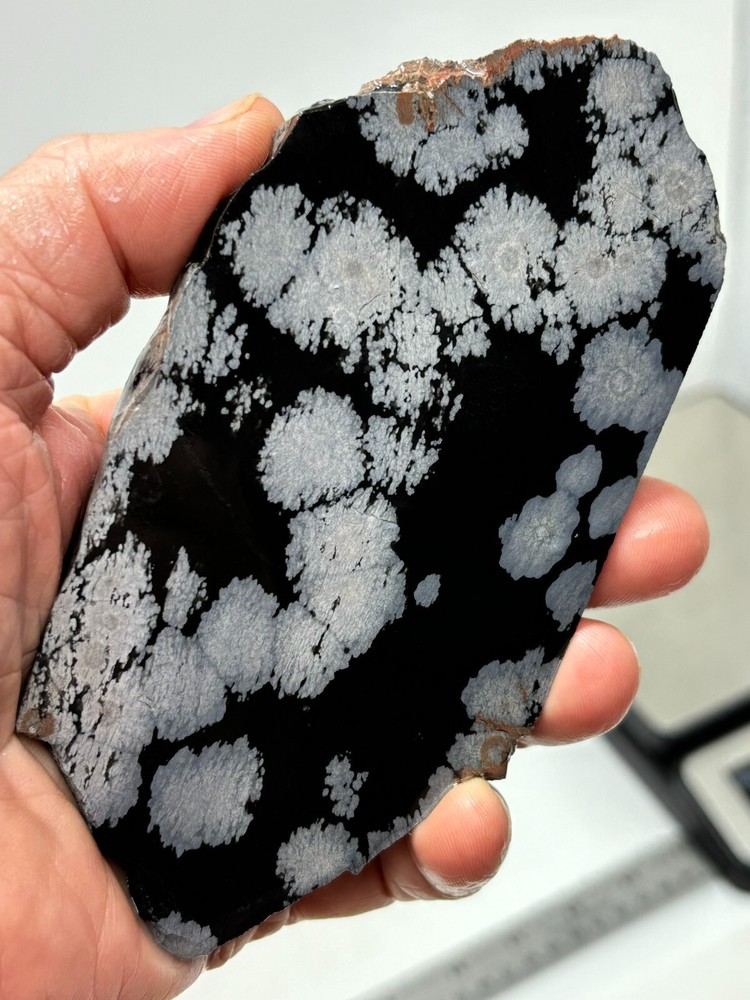 Flower Obsidian (large snowflake) Cabbing Knapping Collecting Combo Ship Avail