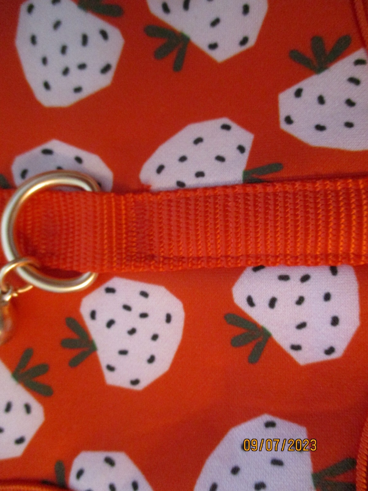 WHISKER CITY CAT VEST HARNESS & LEASH KITTEN SIZES - New with Tags