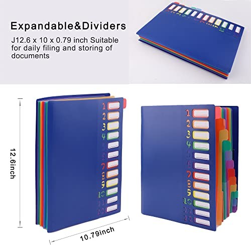 Rainbow Tab Expanding File Folder - 24 Pockets, Durable A4 Blue - 24 Pockets