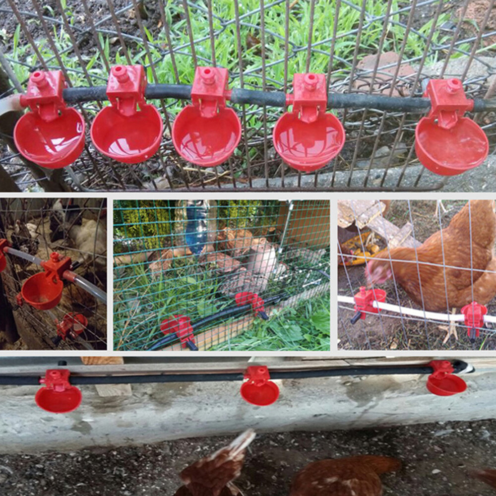 Poultry/Quail Water Drinking Cups Chicken Hen Plastic Automatic Drinker Kit