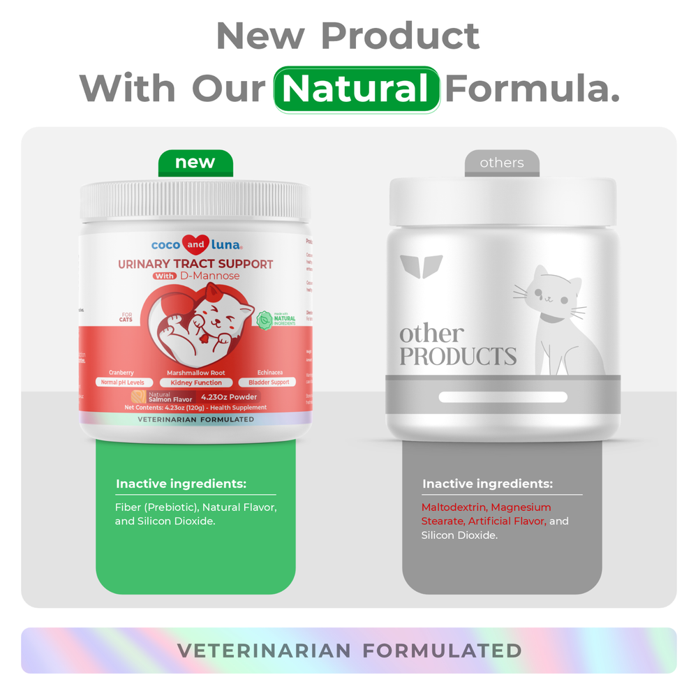 Cranberry for Cats Incontinence Support, Urinary Tract Support, Cat UTI, Bladder