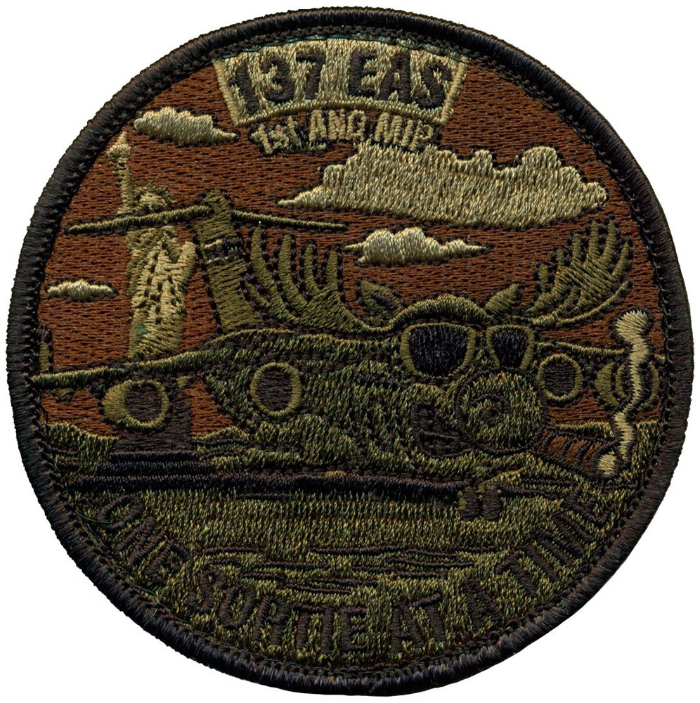 USAF 137th EXPEDITIONARY AEROMEDICAL EVACUATION SQUADRON – C-17   PATCH