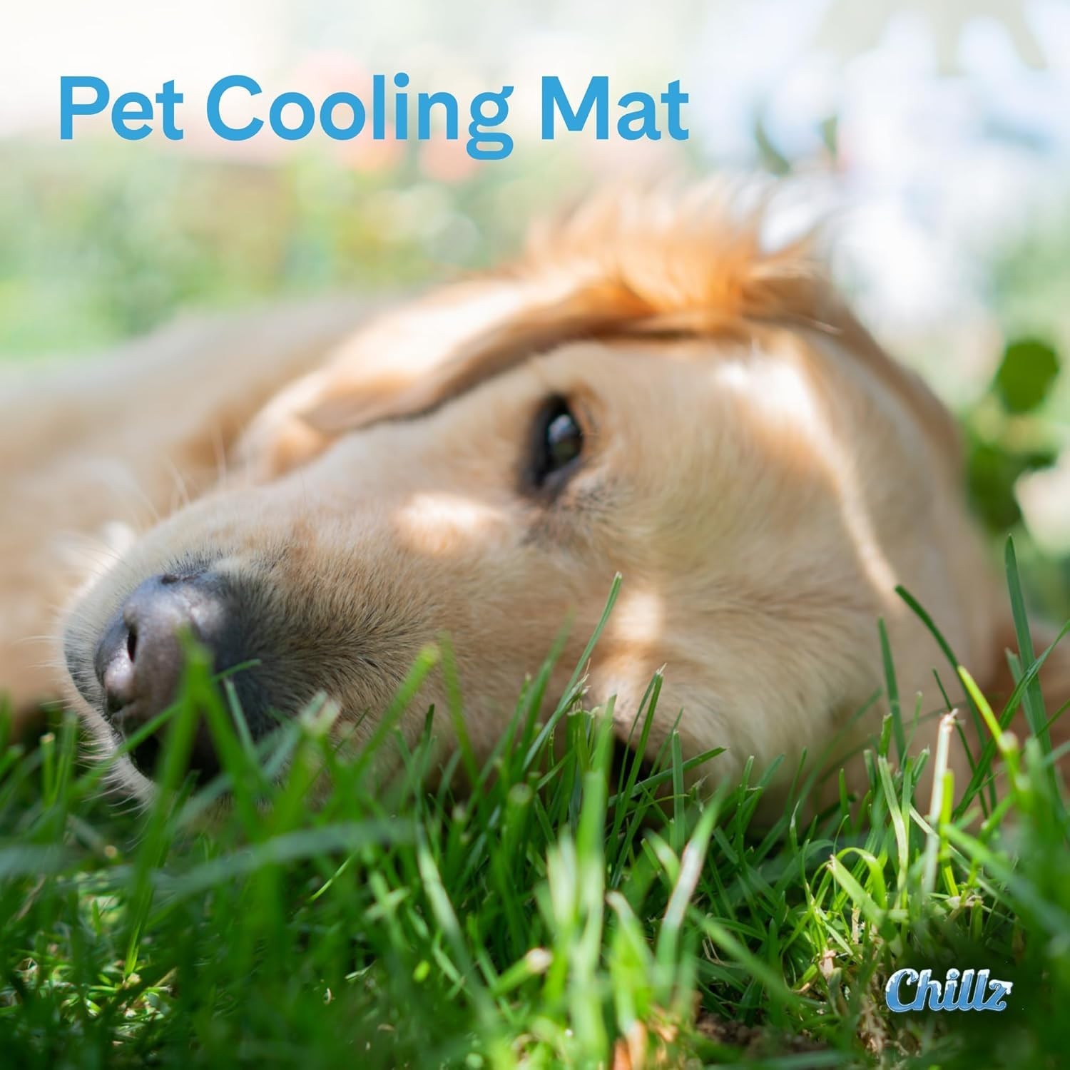 The Green Pet Shop Chillz Gel Mat, Extra Large - Pressure-Activated Cooling Pad