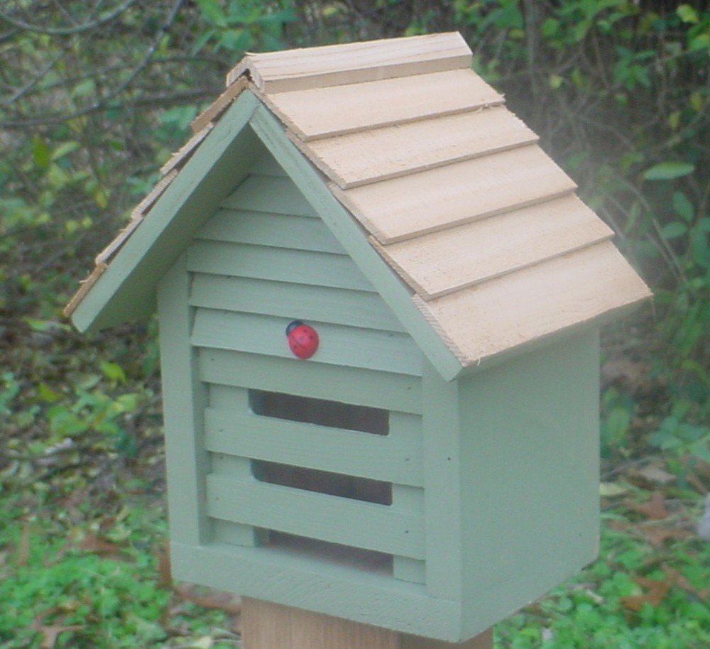 Homestead Ladybug House