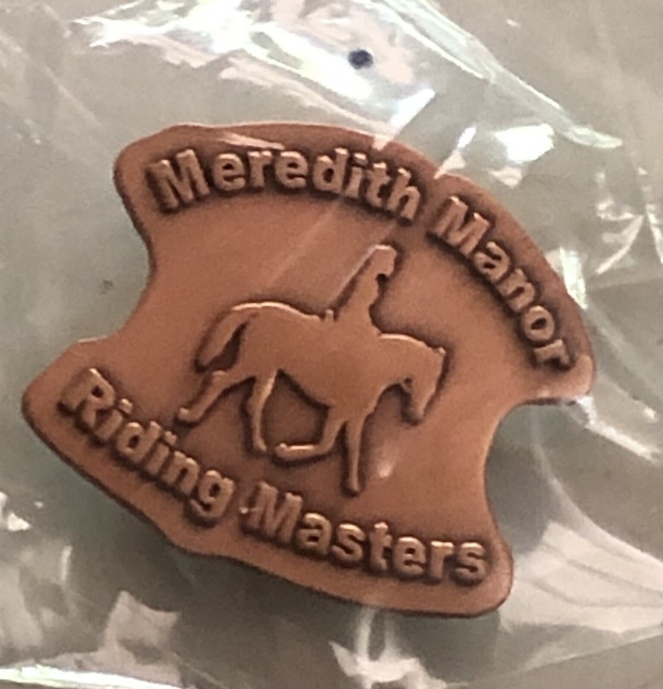 Meredith Manor Brass Pin