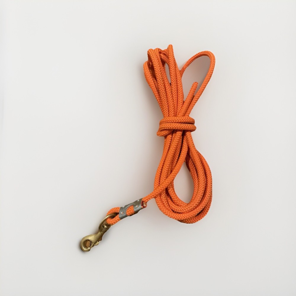 Long Dog Training Lead