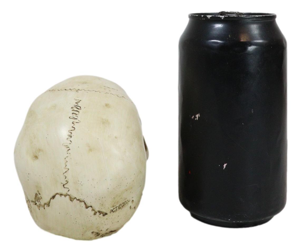 Small Skull Head Statue Cold Cast Resin Figurine 3.5" Tall