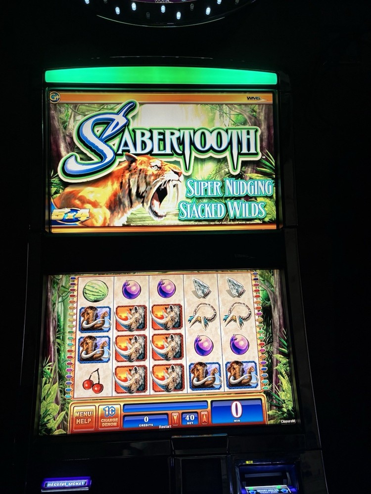 WMS BB2 SABERTOOTH SLOT MACHINE SOFTWARE GAME CARD ONLY NUDGING WILDS FUN TESTED