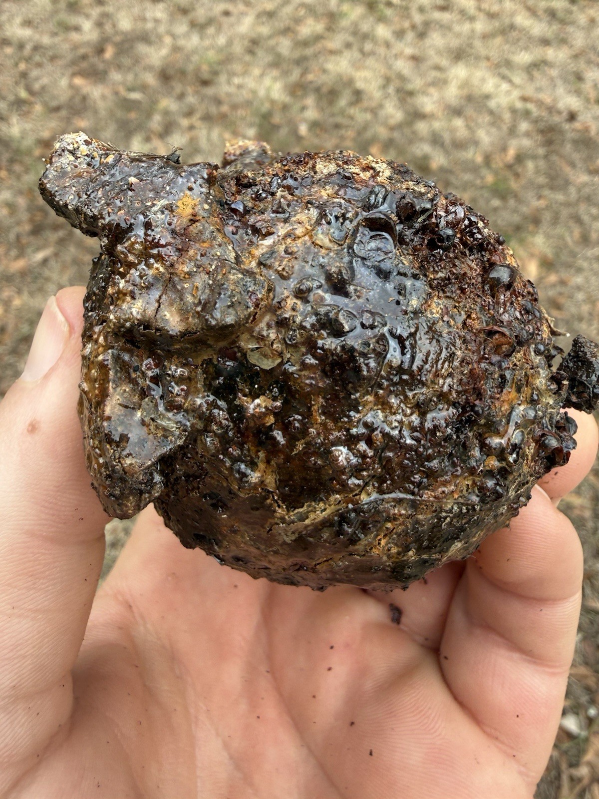 1715 Treasure Fleet Shipwreck Recovered Small Iron Cannonball - Encrusted