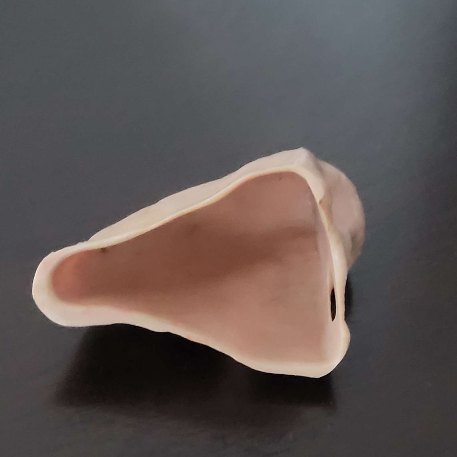 Vtg Artificial NOSE Hard Plastic Prosthesis Costume Cosplay Theater Halloween