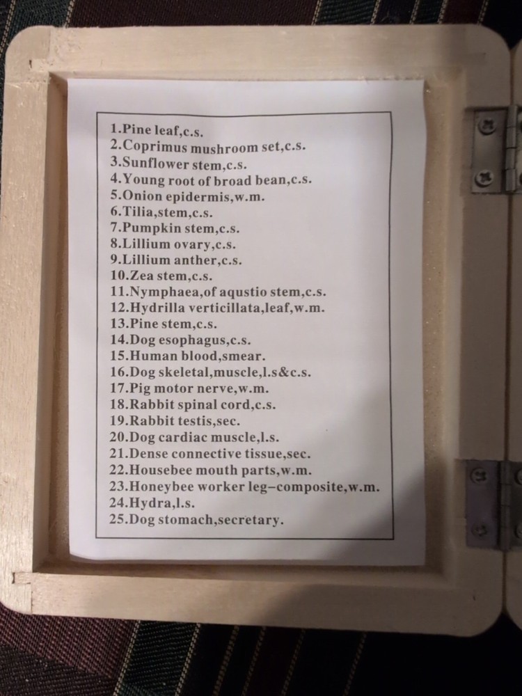 AM Scope 25 Prepared Biology Microscope Slides