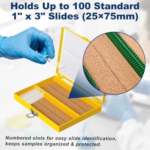 5PCS Plastic Microscope Slide Storage Box, 100-Place Holder with Cork Lining, As