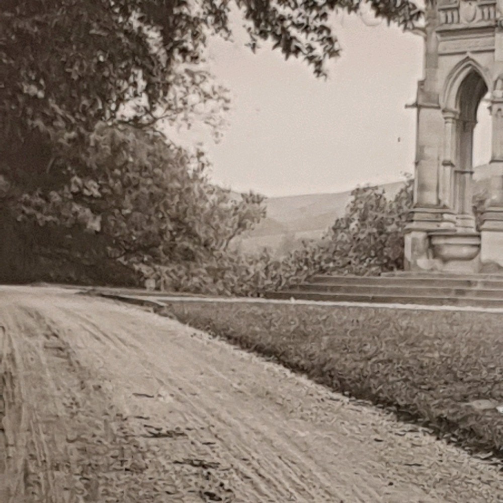 Glass Slide Collectable