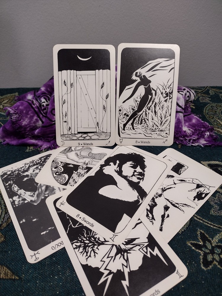 New Amazon Tarot 1984 LGBTQ+ Deck