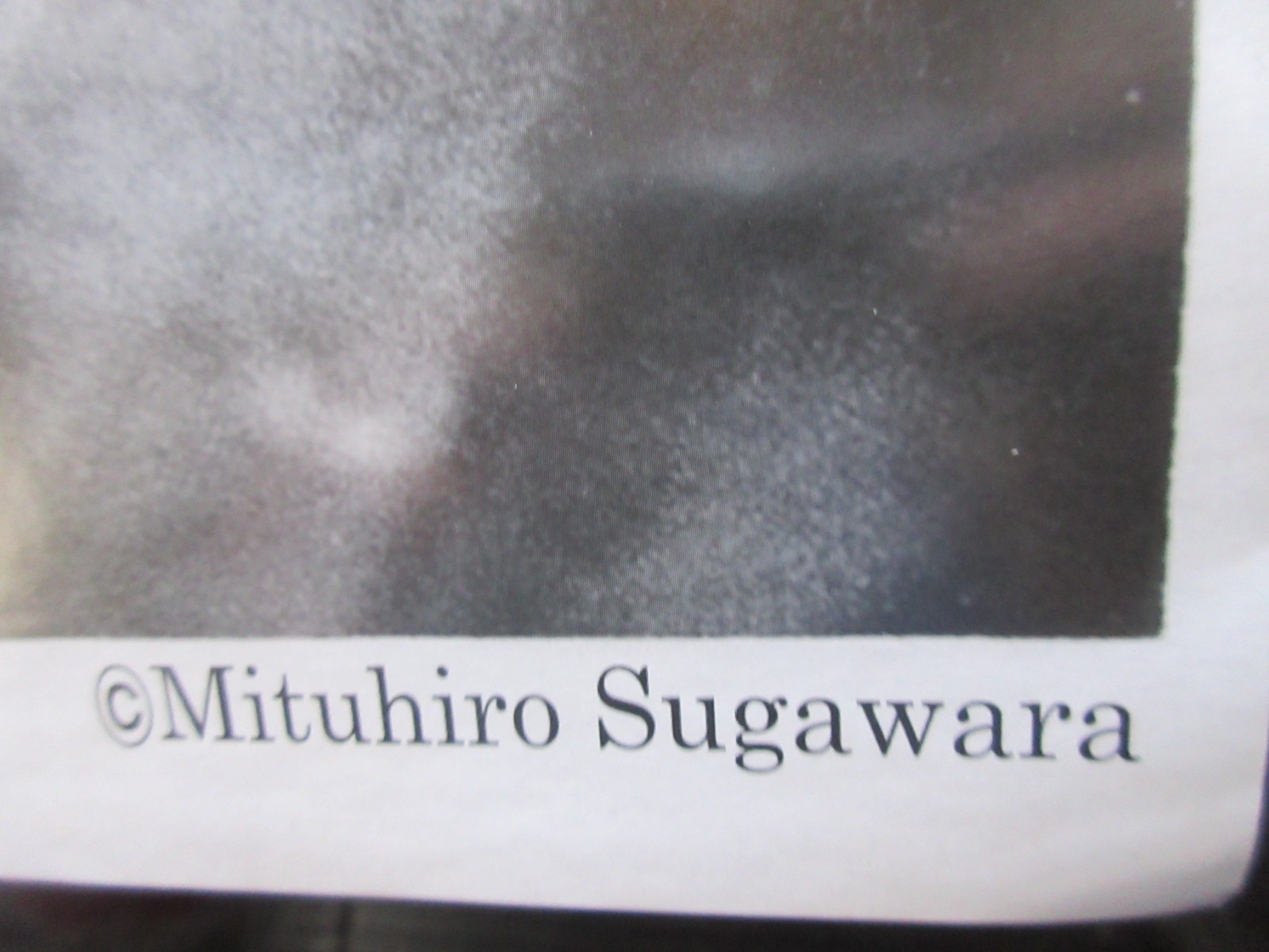 Bob Marley Live ! Japan Poster The Wailers Reggae