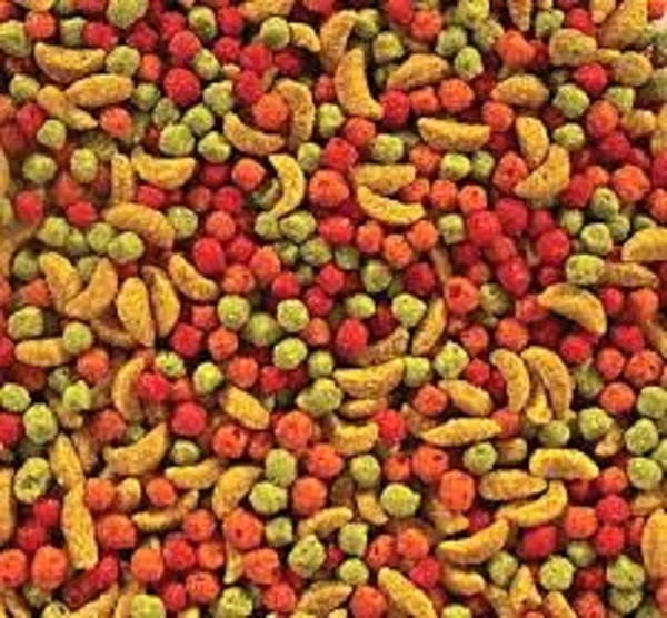 Fruit Blend Pellet Medium Parrot Bird Food Diet Conure Cockatiel Love Fruitblend