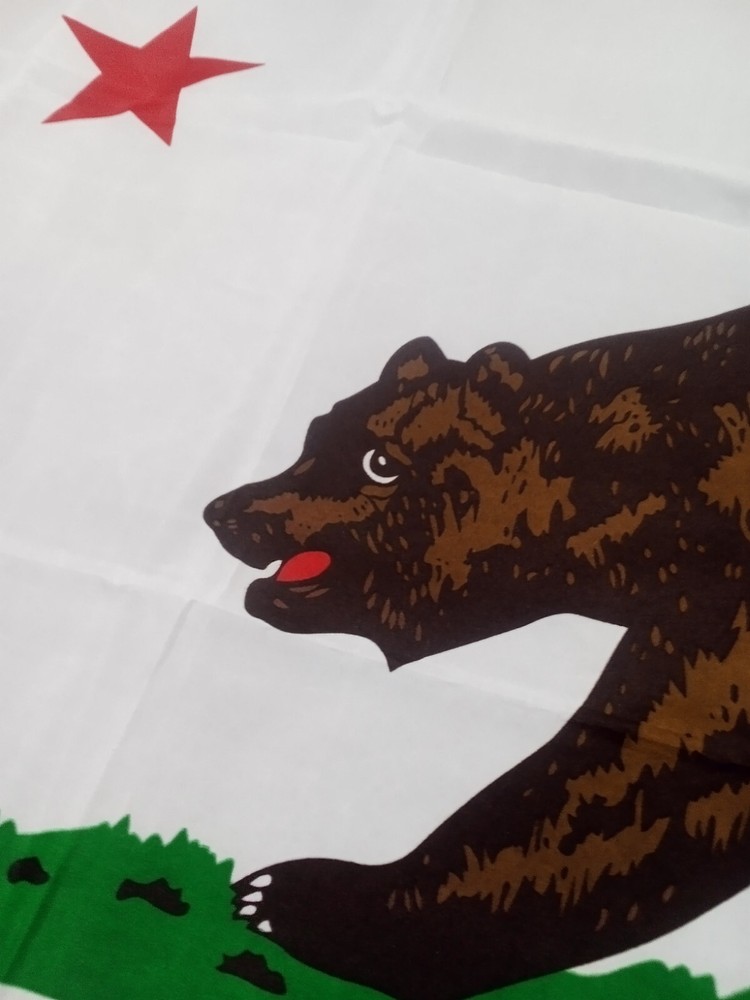 California State Flag
