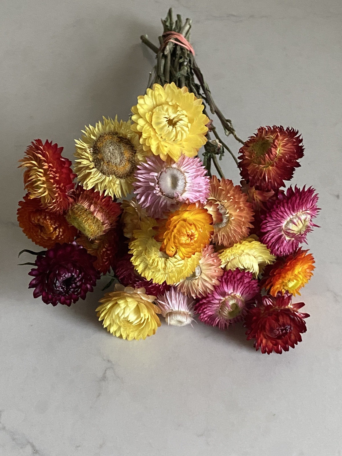 Beautiful STRAWFLOWERS Assorted Bunch BOUQUET Bundle DRIED Flowers USA Auc#4