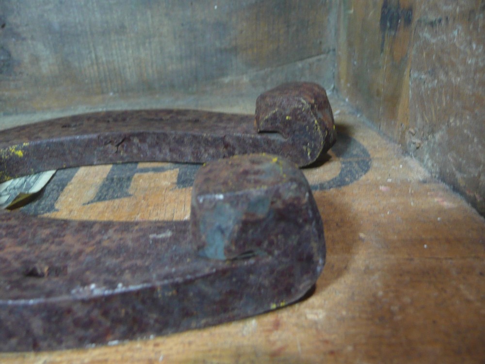2-Heavy Duty Horseshoes